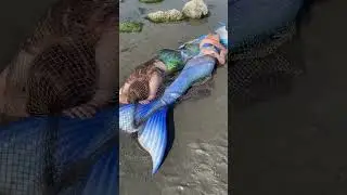 Two Real Mermaids washed up on the beach?! 😨 is one still moving?? #realmermaid