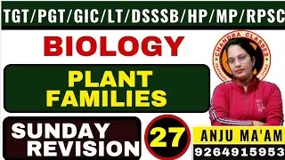 SUNDAY REVISION 27 || PLANT FAMILIES  ||TGT II PGTII LT II GIC II DSSSB II JSSC BY ANJU MAM