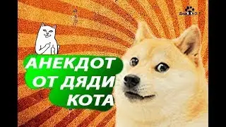 ЧТО ДЕЛАТЬ ЕСЛИ НА ЛБУ ВЫРОС ЧЛЕН??