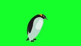 GREEN SCREEN PENGUIN ANIMATION | Green Screen Effects 2019