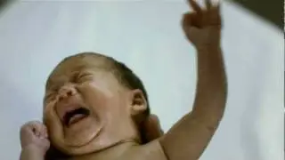 Шлепок жизни