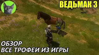 Ведьмак 3 - Обзор - Все трофеи из игры Ведьмак 3
