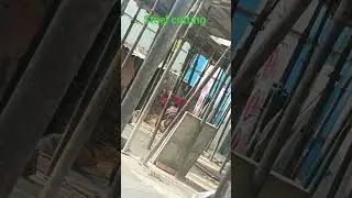#steel
