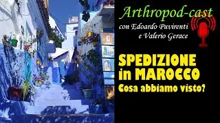 SPEDIZIONE IN MAROCCO: cosa abbiamo trovato? - con Valerio Gerace e Edoardo Pulvirenti