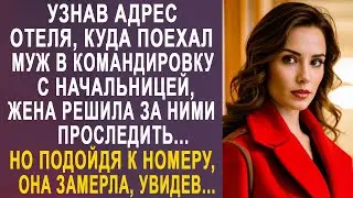 Узнав адрес отеля, куда поехал муж в командировку с начальницей, жена решила за ними проследить...