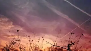 the innocence mission - the color green