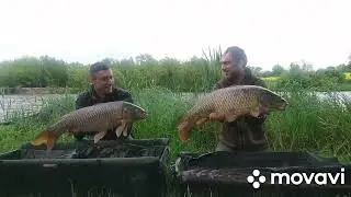 Karpfishing in Ukraine. Lake 