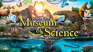 Zoo Tours: Toledo Zoo's Museum of Science