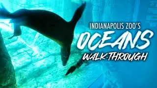Zoo Tours: Indianapolis Zoo's OCEANS | Walkthrough