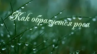 Как образуется иней, роса, дождь и снег