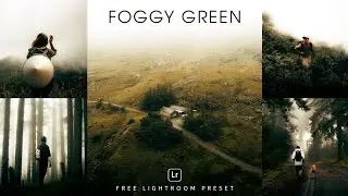 Foggy Green Lightroom Preset | Lightroom Mobile Preset Free DNG |  lightroom presets