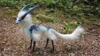 Dünya'da Nadir Bulunan 10 Egzotik Kuş Türü