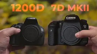 Canon 7D Mark II vs Canon Rebel T5: Still Good in 2023?