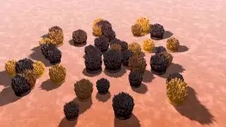 Birth Growth Death - Cinema4D & After Effects