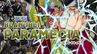 INILAH 10 BUAH IBLIS PARAMECIA PALING KUAT DI ONE PIECE
