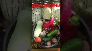 Дары осени! Пошла собрать шиповник. 😂😂😂