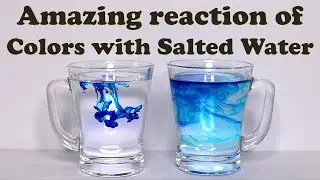 Colors reacting with Salt Water | Colorful Experiment with Water | Fundoor Amaze 
