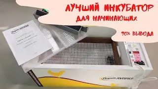 Инкубатор блиц для яиц | Какой инкубатор лучше? | Для начинающих
