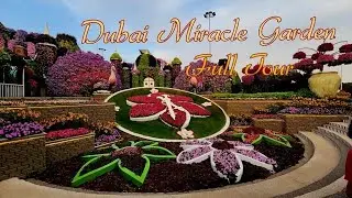 Miracle Garden Full Tour Day and Night