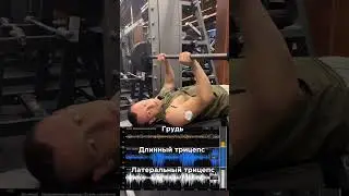 Как прокачать трицепс? 