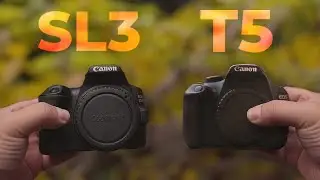 Canon 250D vs Rebel T5: Still Good in 2023?