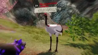 The Wolf - Red Crowned Crane Champion 🏆