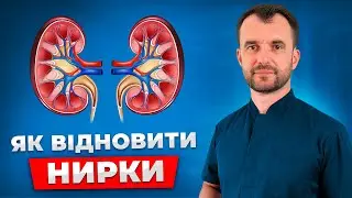 День 2. Що робити для відновлення  нирок