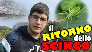 GRILLI, CASE VACANZE e SCINCHI CURIOSI - Cerchiamo insetti in Sardegna | EPISODIO 3