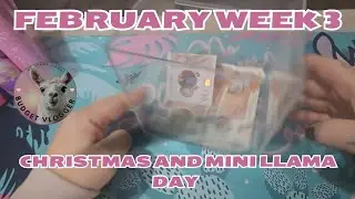February week 3 Christmas and mini llama savings #ukcashstuffing