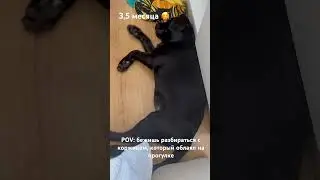Интересно, что снится 😋 