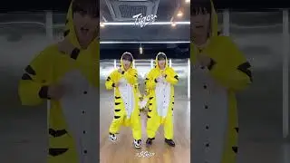 🐈‍⬛🦭: Let me know you!🕺 / 🐶🐯:😯🫣👀🖖🏻 #nSSign #엔싸인 #Repackage #Tiger #타이거챌린지 #Tiger_challenge