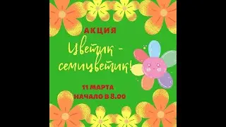 Акция "Цветик семицветик", Тольятти, МБУ "Школа 71"