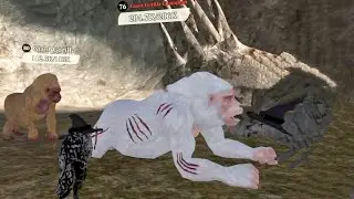 The Wolf - Giant Gorilla Champion In Featured Tropical Forest 🏆