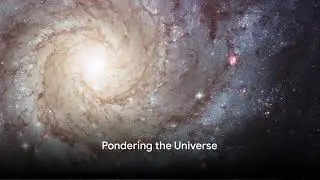 Spiral galaxies and the journeys of their stars