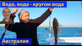 Океан сегодня спокойный. И наша прогулка - тоже. (видео 372)