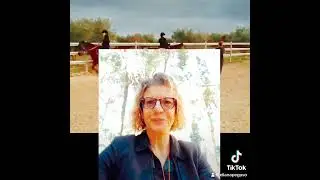 Interventi assistiti con il cavallo ed equitazione integrata