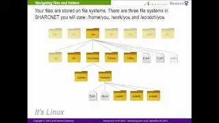 Introduction to The Unix Shell - Automating Your Work