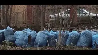 Центральный городской парк (социальный ролик)