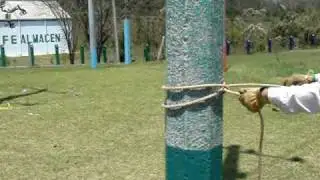 NUDO BALLESTRINQUE