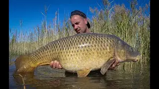Pêche à la carpe | Salagou