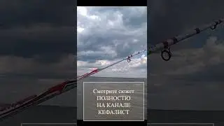 Спиннинг для рыбалки на кефаль: фидер, ультралайт. Как выбрать удилище для рыбалки с берега и заброд