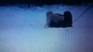 Зсл Титан из Саратова