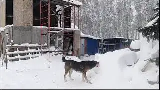 потомок ст.Борсыка и ст.Караша
