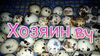 Долгожданное видео обо всем)