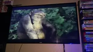 Opening To MVP: Most Valuable Primate 2001 VHS