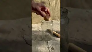 Растопка из куриных яиц