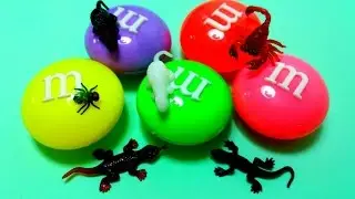 Giant M&M Clay Slime Surprise Fly  Rats Scorpio Lizards