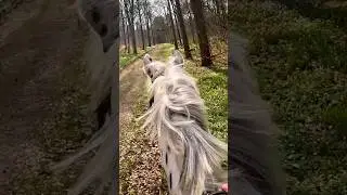 BEST Feeling Ever!!! 🐴
