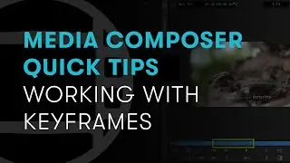 Media Composer Quick Tips: Working with Keyframes