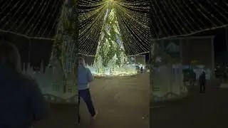 Наша красавица, на центральной набережной. 